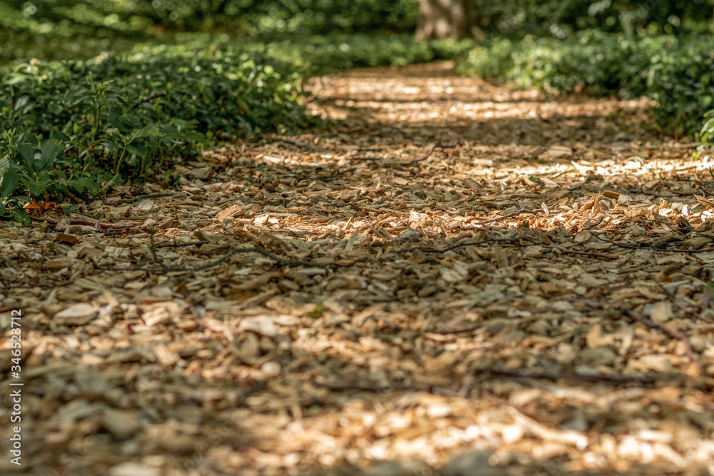 Weg aus Rindenmulch Weg aus Rindenmulch