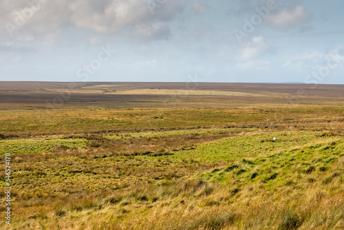 The Flow Country is an expanse of peatland and wetland across Caithness and Sutherland