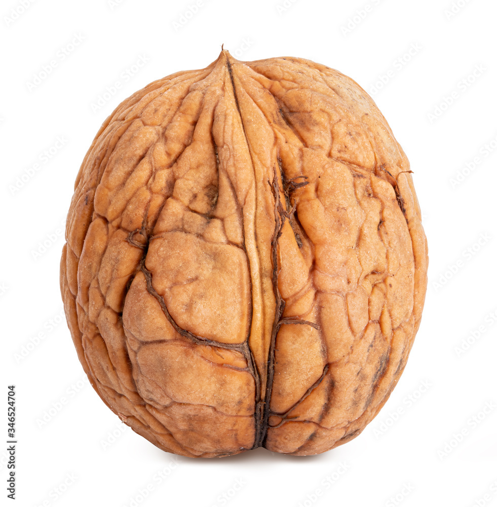 Obraz premium Walnut on white background