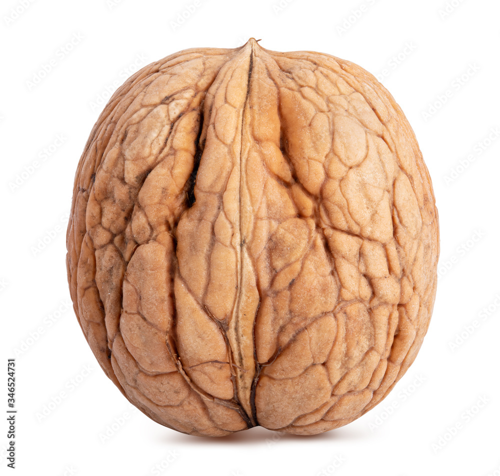 Obraz premium Walnut on white background