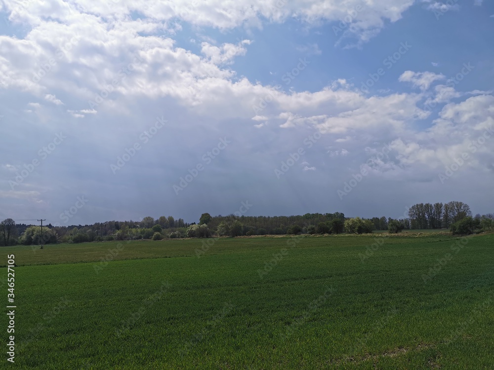 Blumen; Feld; Raps; HImmel; Landschaft; Landwirtschaft; Blumen; Feld; Raps; HImmel; Landschaft; Landwirtschaft;