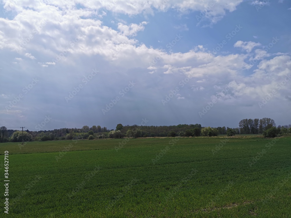 Blumen; Feld; Raps; HImmel; Landschaft; Landwirtschaft; 