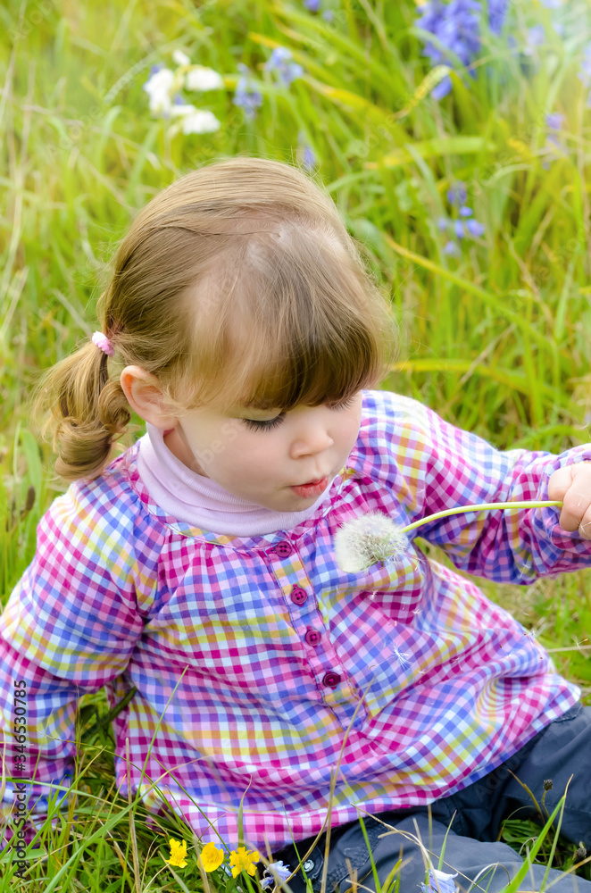 attractive girl blowing on a dandelion to make a wish attractive girl blowing on a dandelion to make a wish