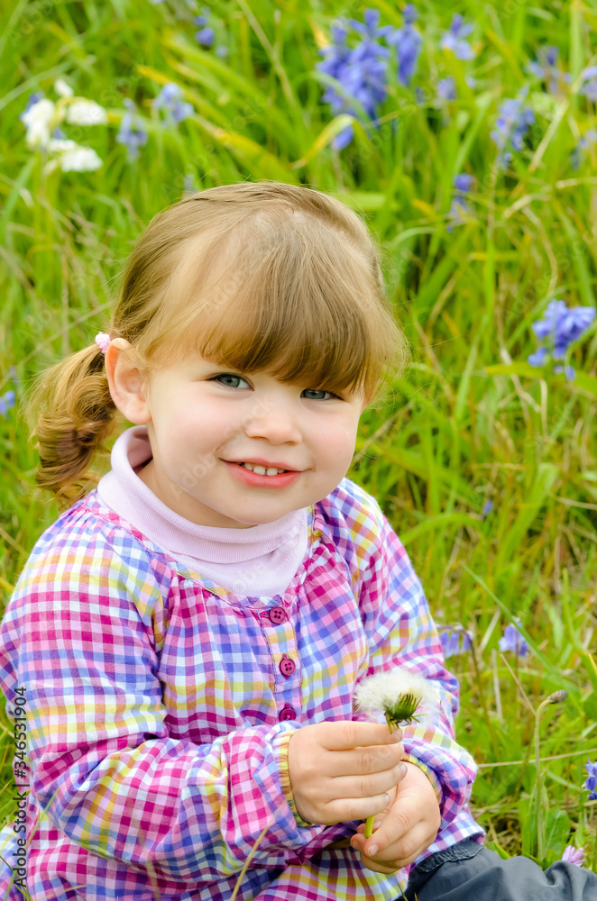 attractive girl blowing on a dandelion to make a wish attractive girl blowing on a dandelion to make a wish