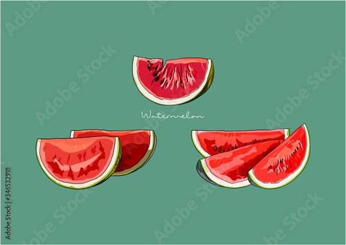 Vector Illustration of Watermelon fruit in pieces / slices