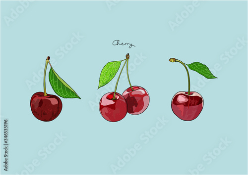 Vector Illustration of Red Cherry, fresh cherries with leaves