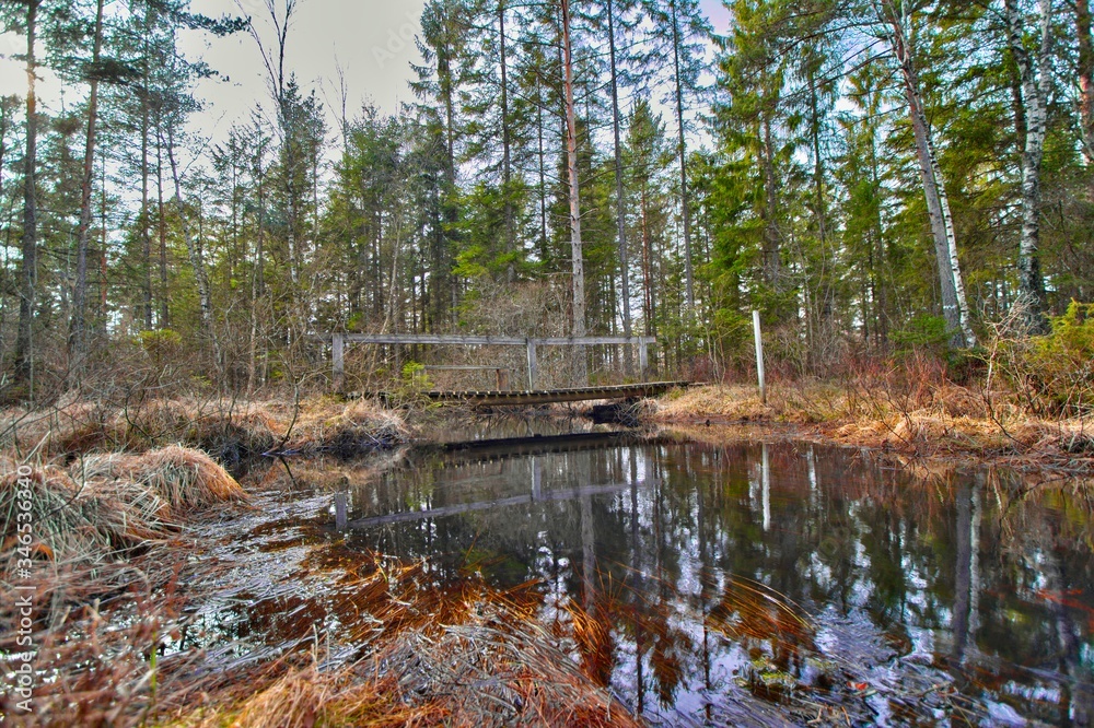Creek at the Store Mosse National Park, Sweden Creek at the Store Mosse National Park, Sweden