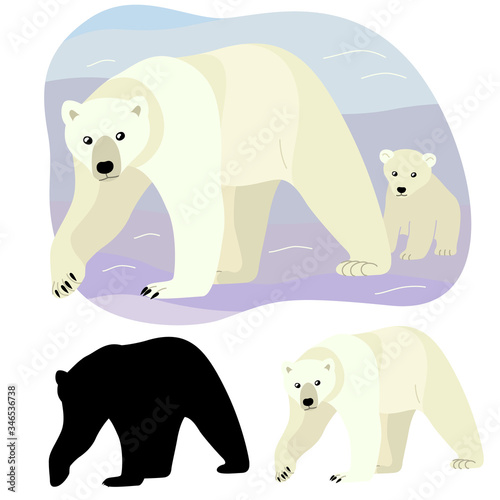 Animal of North America a polar bear with his cub are walking along the snowy plain of the polar arctic