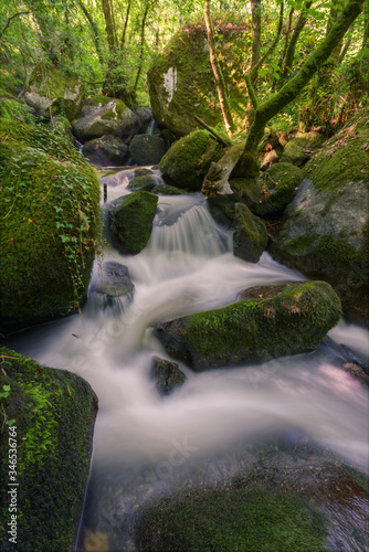 White water torrent between Mossy rocks