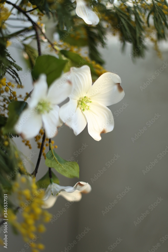 flower flower