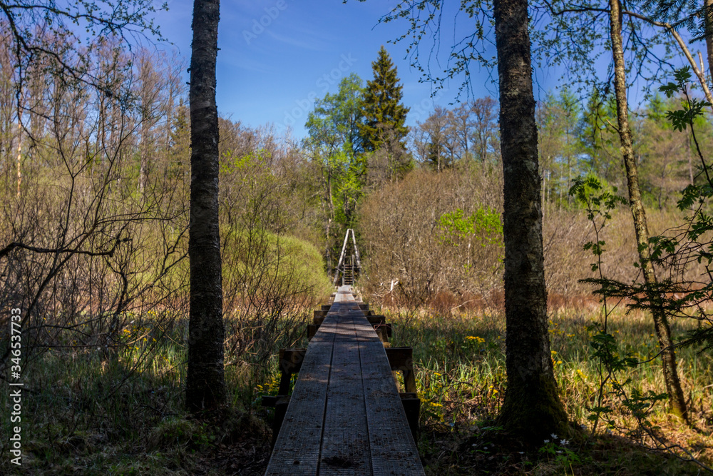 Ryfors Gammelskog natural reserve with its passings and bridges over swaps and streams. Mullsjö – Sweden