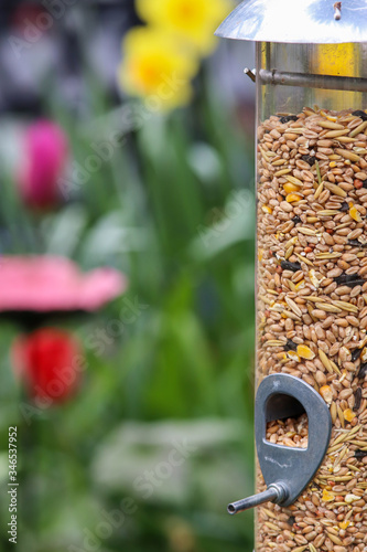 Bird Feeder