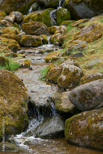 mossy creek in Kadriorg, Tallinn.