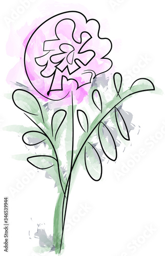 Flower in a single line. on white background. Watercolor colors. Tender Tulip and daffodil. Field flowers. Vector illustration