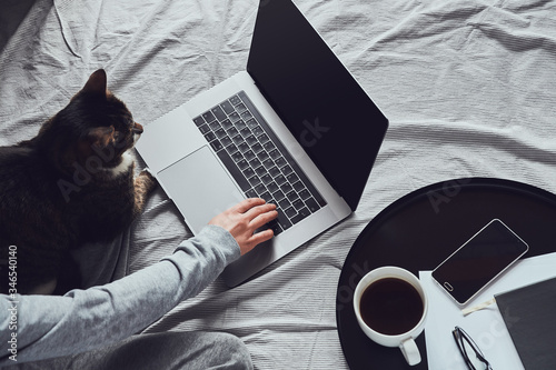 Fotografie Young woman in gray home clothes sits on a bed and types on laptop that lays on a blanket, dark brown cat sits on her lap and looks at the screen