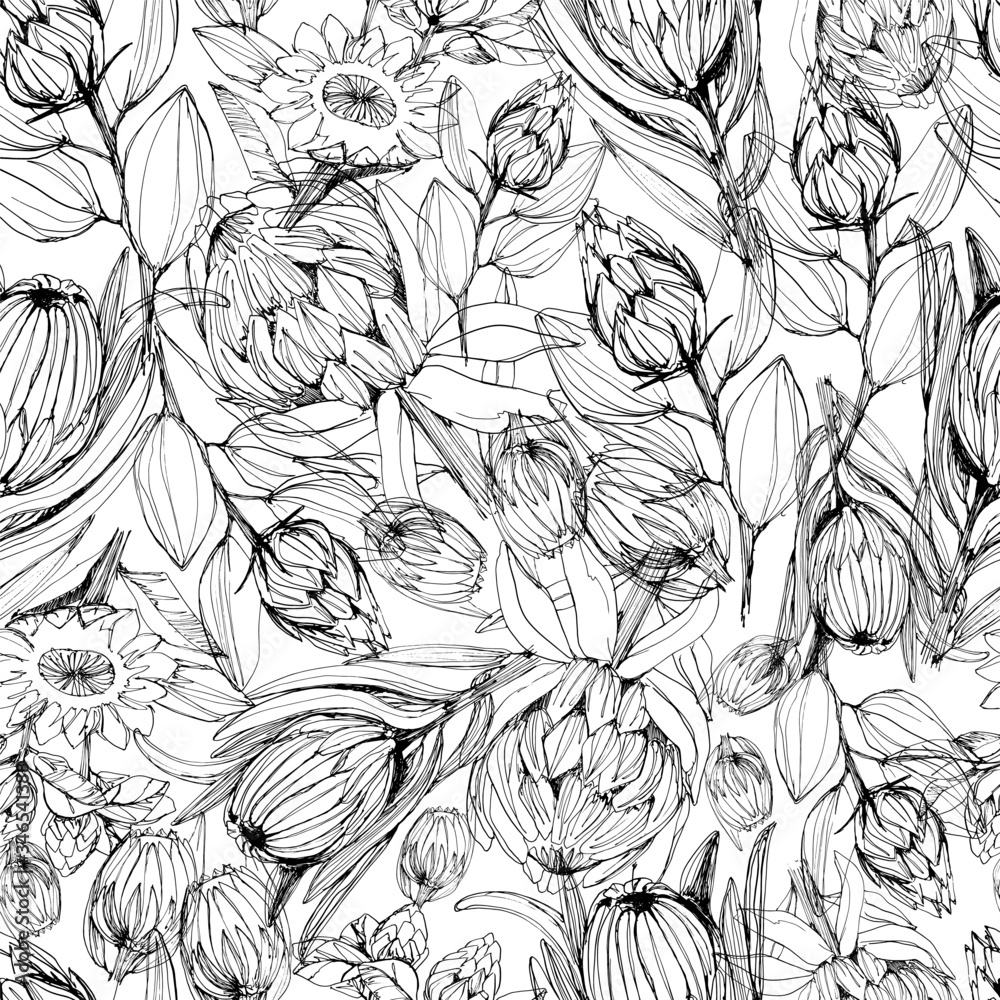 Seamless pattern with protea flower. manual graphics. Coloring book for children and adults, mascara, floral pattern for textile decor and design, wallpaper, relaxation, meditation. stock graphics. 