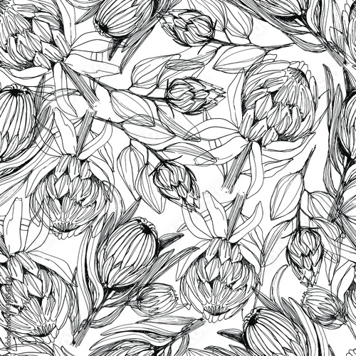 Wallpaper Mural Seamless pattern with protea flower. manual graphics. Coloring book for children and adults, mascara, floral pattern for textile decor and design, wallpaper, relaxation, meditation. stock graphics.  Torontodigital.ca