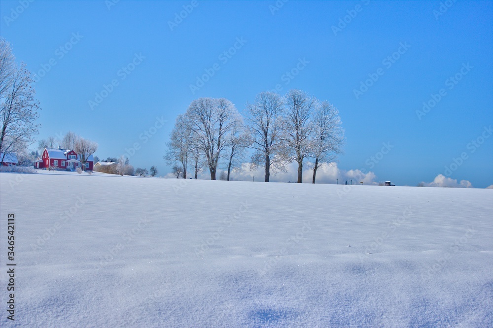 Fototapeta premium Scenic view of snow covered field in Swedish countryside