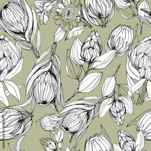 Pattern with protea flower. manual graphics. Stylish floral pattern with dried flowers, African protea flower. For wallpaper, textile, home decor, packaging. stock graphics. isolate