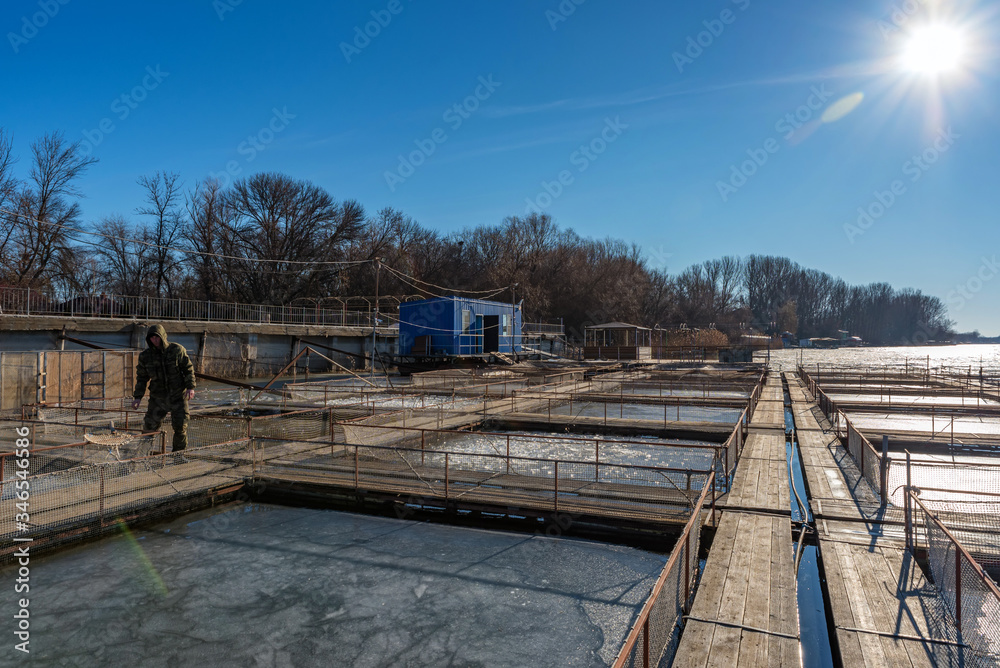 Fish farm for brooding sturgeons in Astrakhan, Russia