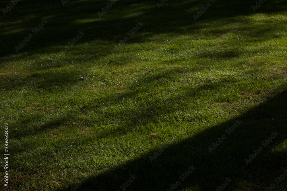 A close up of a grassy field with shadows being cast across the lawn