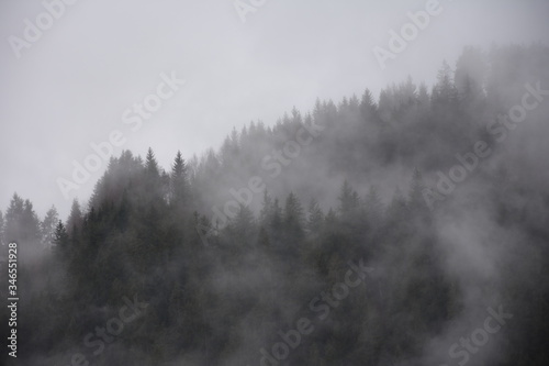 Nebbia sui boschi dopo la pioggia © Diana
