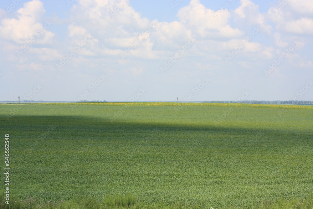 Fototapeta premium Fields and hills background