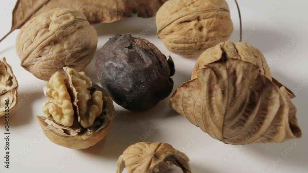 Still life in rotation, with nuts and leaves on a white background. Still life in rotation, with nuts and leaves on a white background.