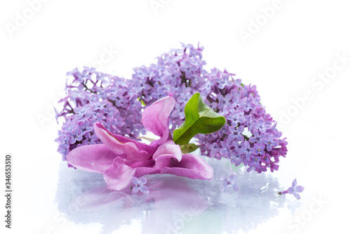 bouquet of beautiful spring flowers of lilac on white background