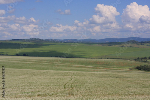 Fields and hills background