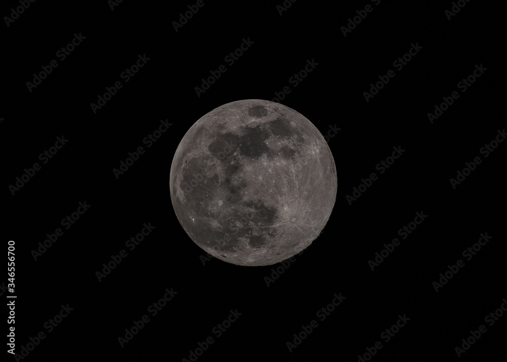 Moon Moon