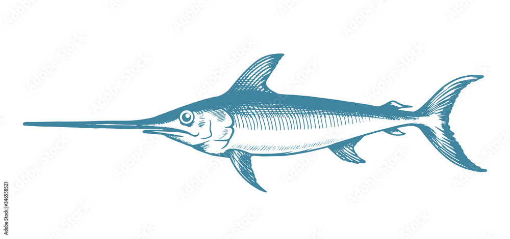 Marlin hand drawn illustrations in retro style. Vector logo template. Can be use for restaurant menu or fish shop market.