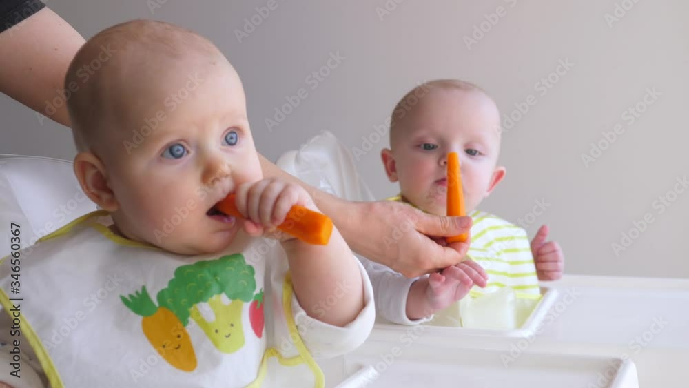 Mother Giving Organic Carrots To Her Baby Twins. Healthy Food For Babies. Mother Giving Organic Carrots To Her Baby Twins. Healthy Food For Babies.