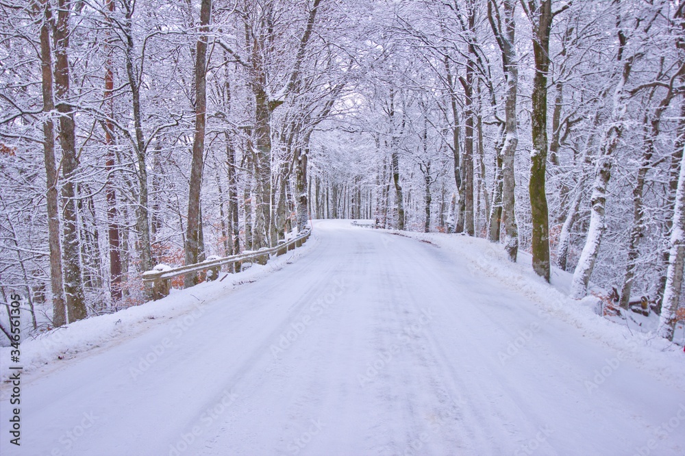Country winding road in the winter in the Swedish woodlands Country winding road in the winter in the Swedish woodlands