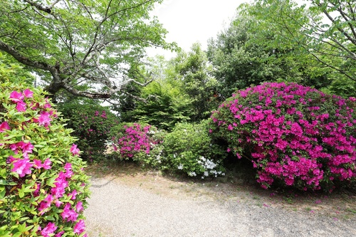 花の寺　長岳寺