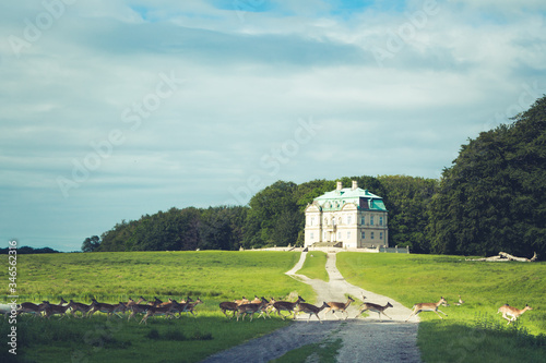 The Hermitage, a royal hunting lodge in Klampenborg of Denmark. Dyrehaven is a forest park north of Copenhagen photo