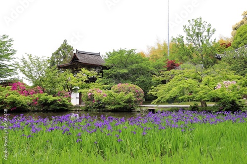 花の寺　長岳寺