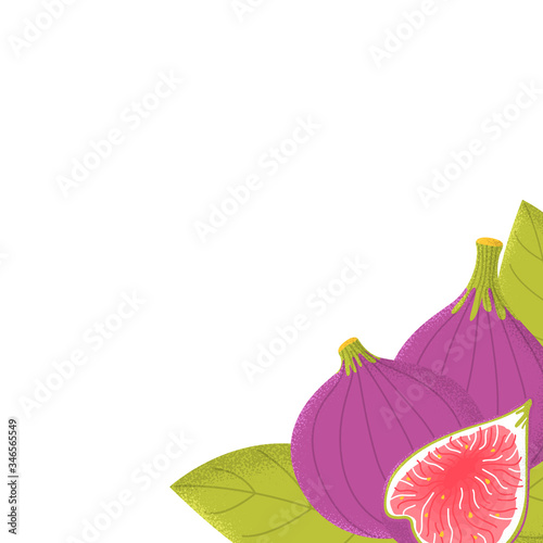 Template background with organic vector figs