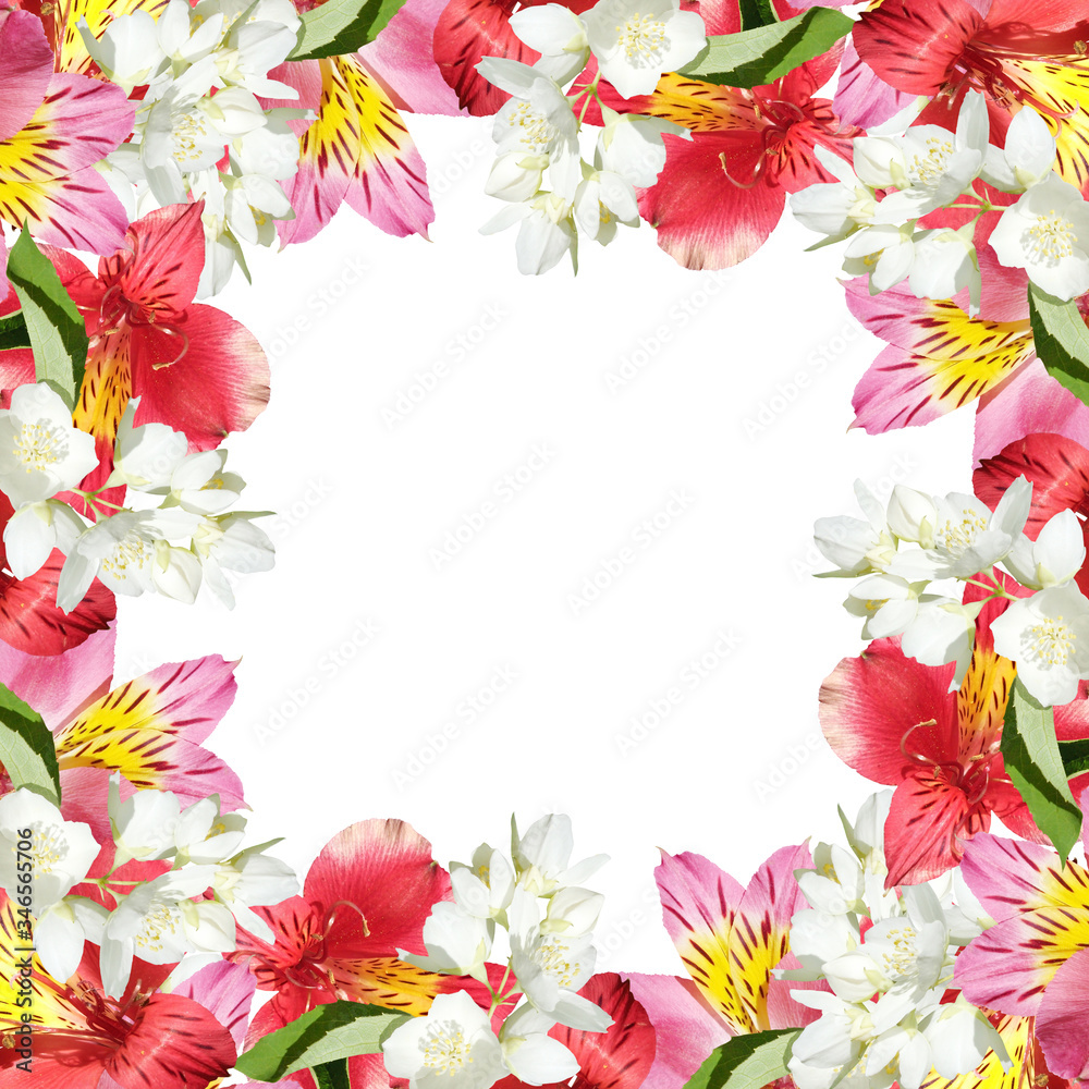 Beautiful floral pattern of Alstroemeria and Jasmine. Isolated Beautiful floral pattern of Alstroemeria and Jasmine. Isolated