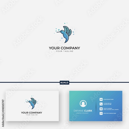 humming bird logo modern colibri logo