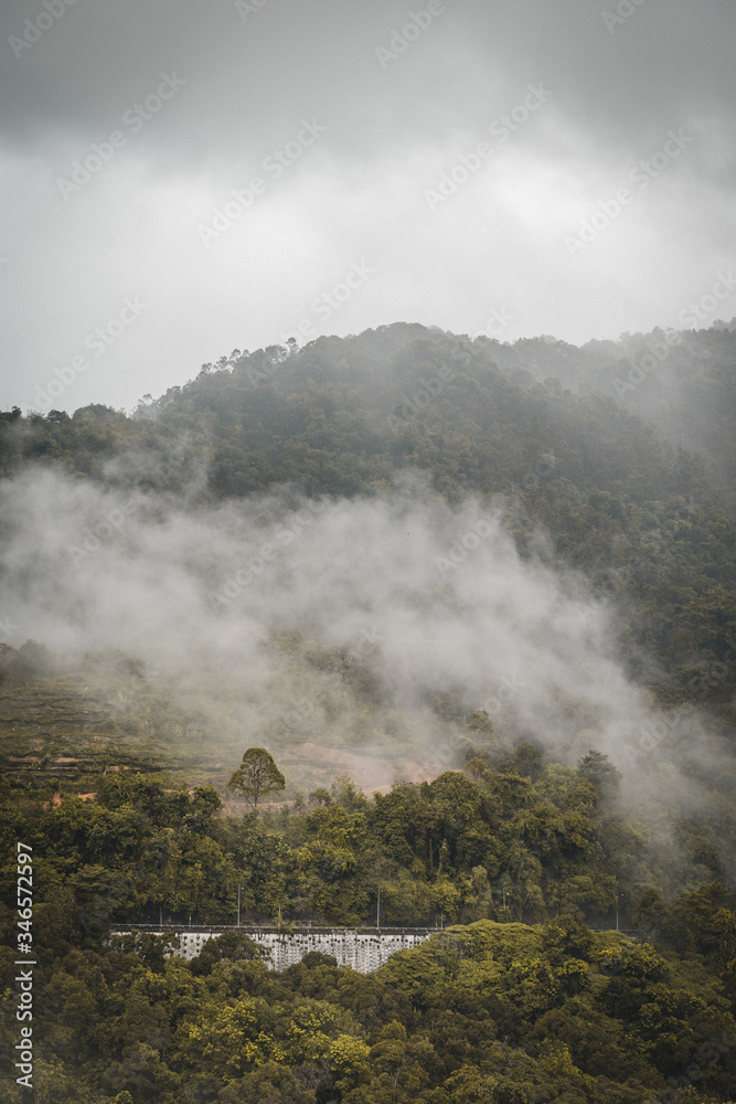 Fototapeta premium fog on the mountain