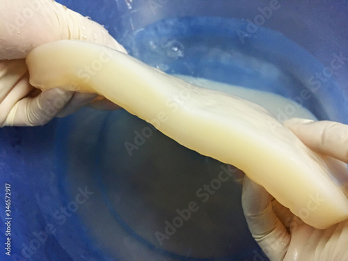 Bacterial cellulose produced by acetic acid bacteria from coconut water