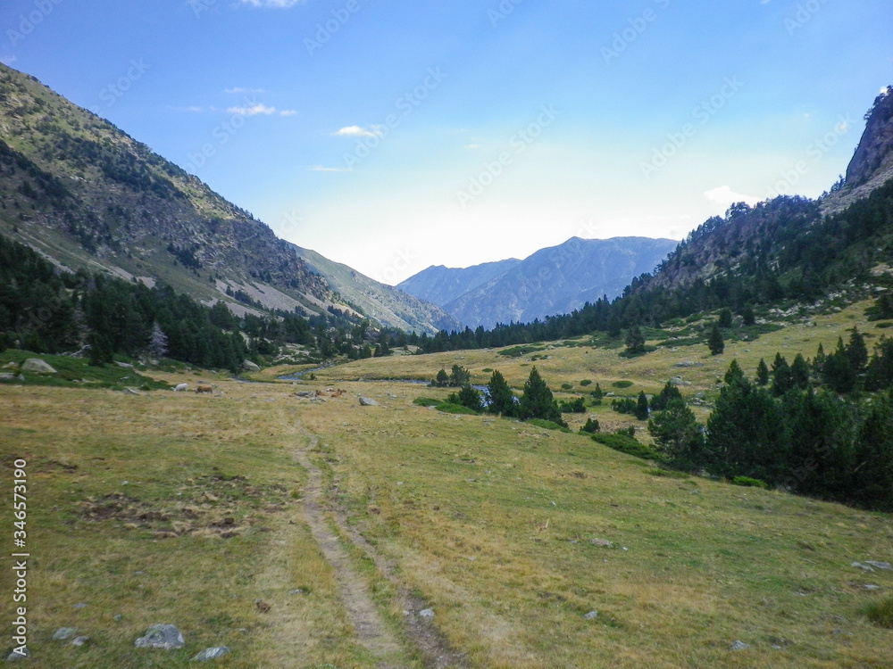 Landscape of a high mountain valley during the day full of trees with mountains in the distance and clouds in the sky. Horizontal image.