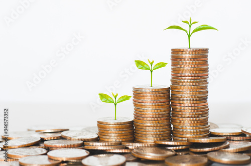 coin stack money saving concept. green leaf plant growth on rows of coin on white background. money matters tips to investment and business financial banking for Financial Wellness. photo