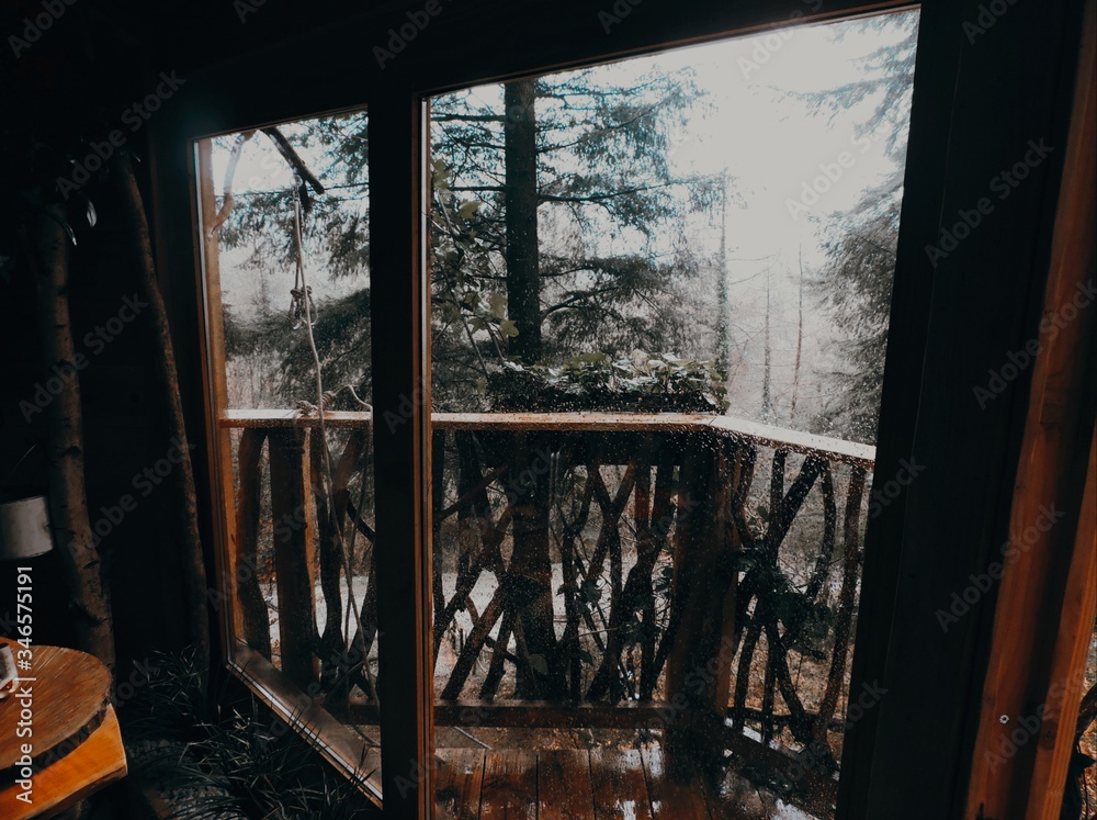 Vistas de un bosque desde el interior de una casa en un árbol, País Vasco Vistas de un bosque desde el interior de una casa en un árbol, País Vasco