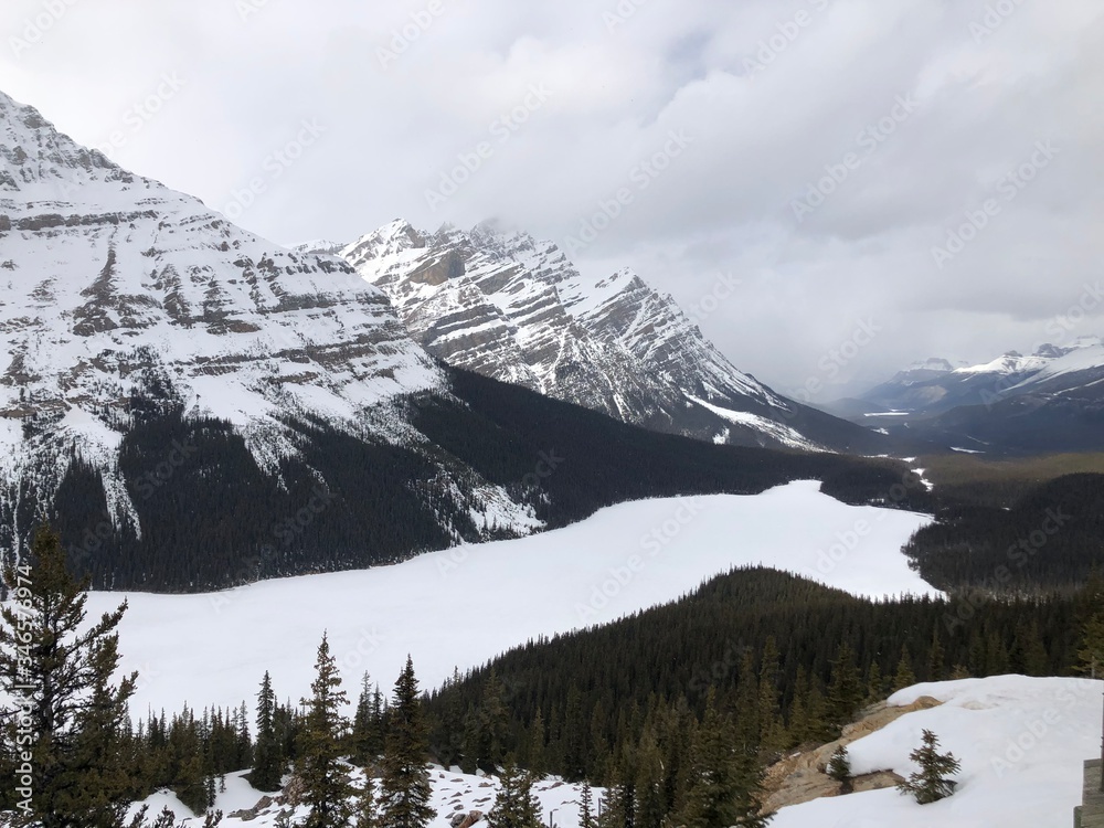 snow covered mountains