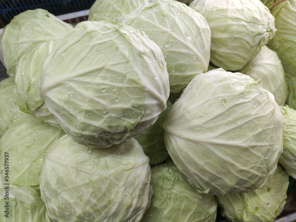Obraz premium Cabbage on the shelves in the market.