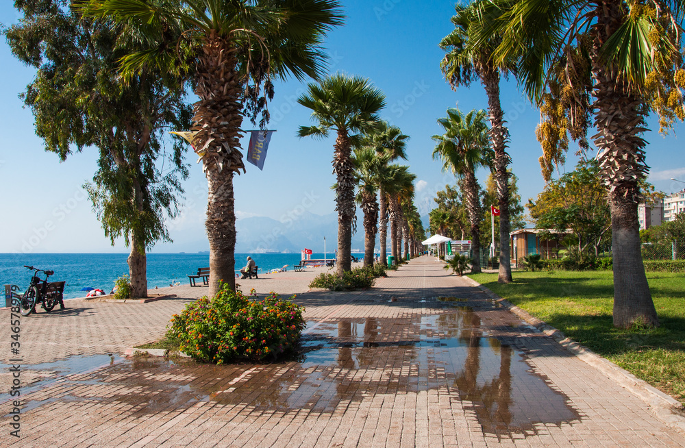 Palm trees on the city pebble beach of Konyaalti