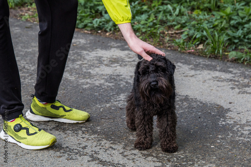 
man stroking a dog in the park