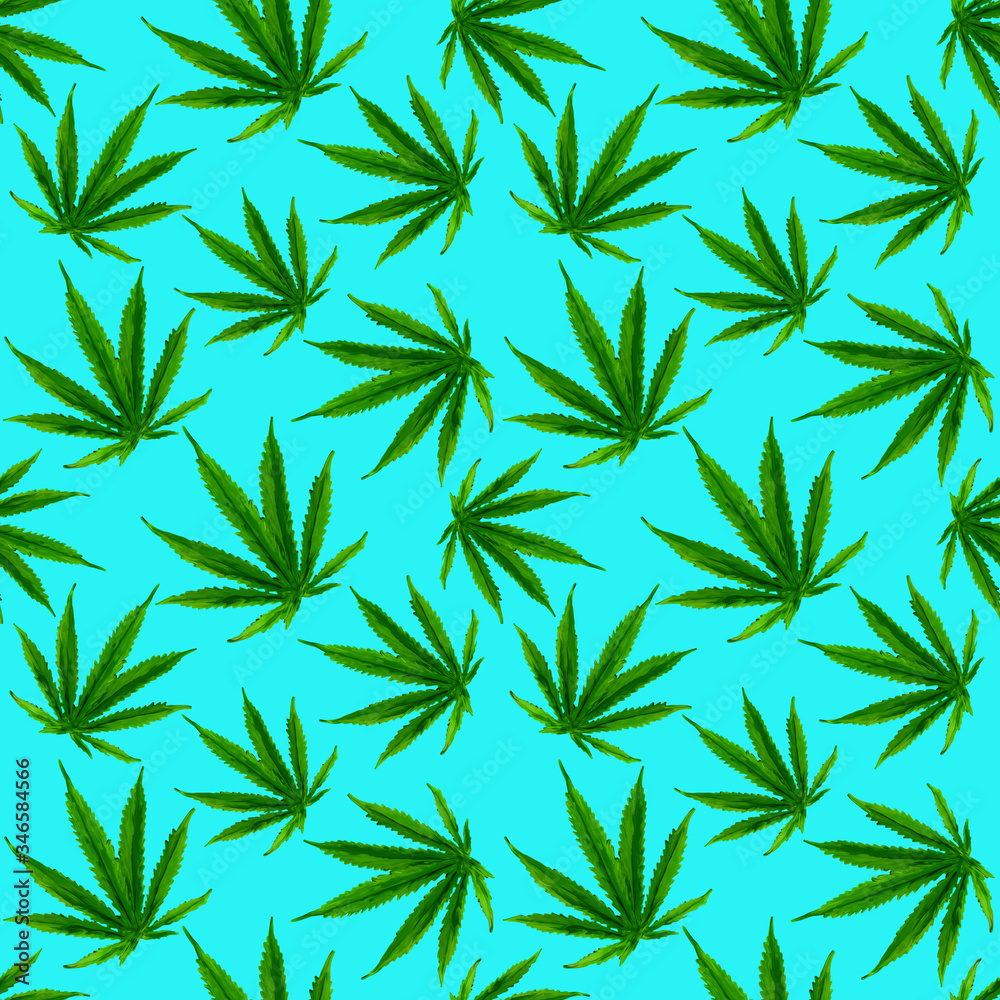 Marijuana gouache seamless pattern . Hemp marijuana, hemp leaves on blue background. Green smoke hashish narcotic